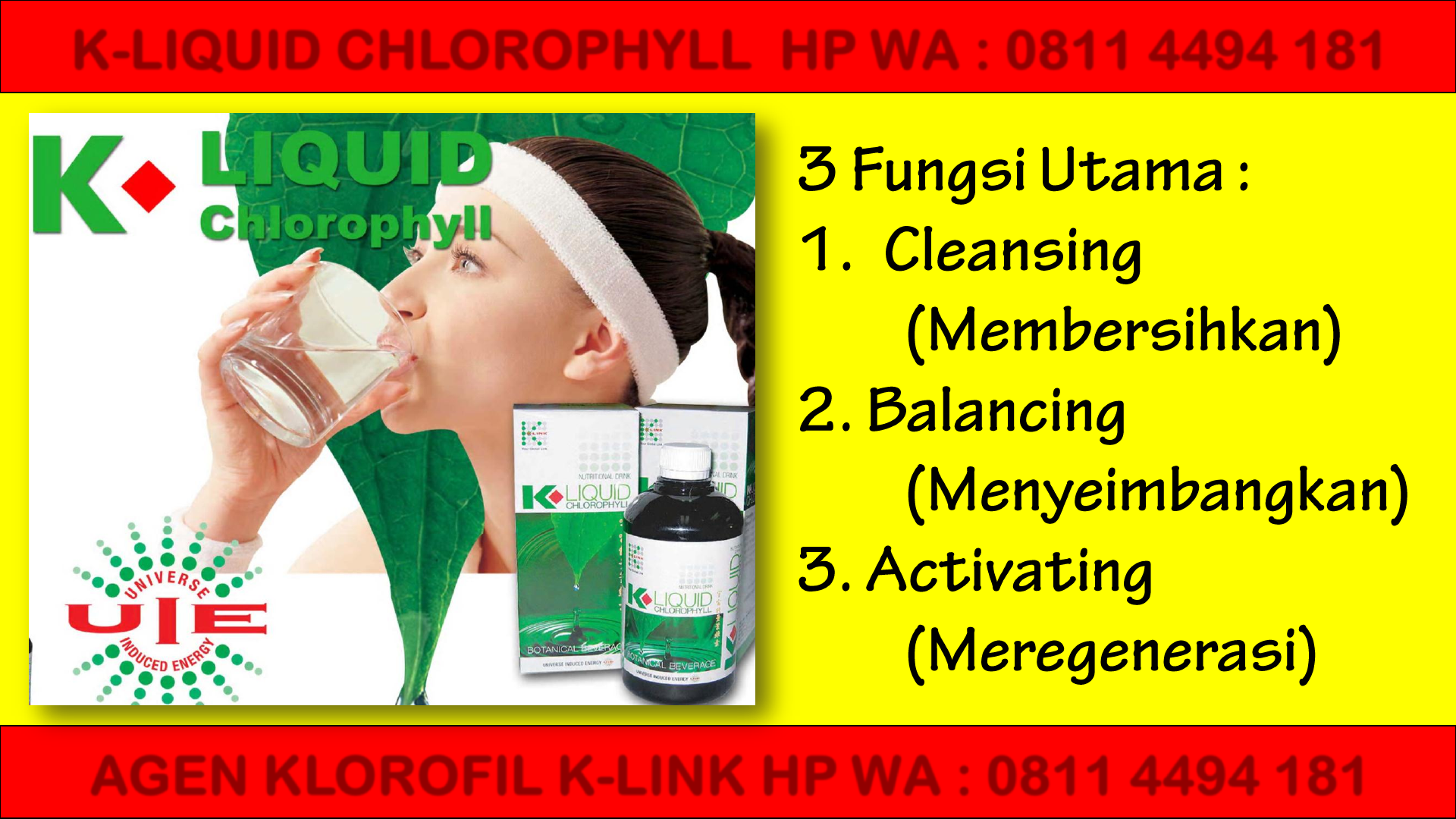 Cara minum chlorophyll